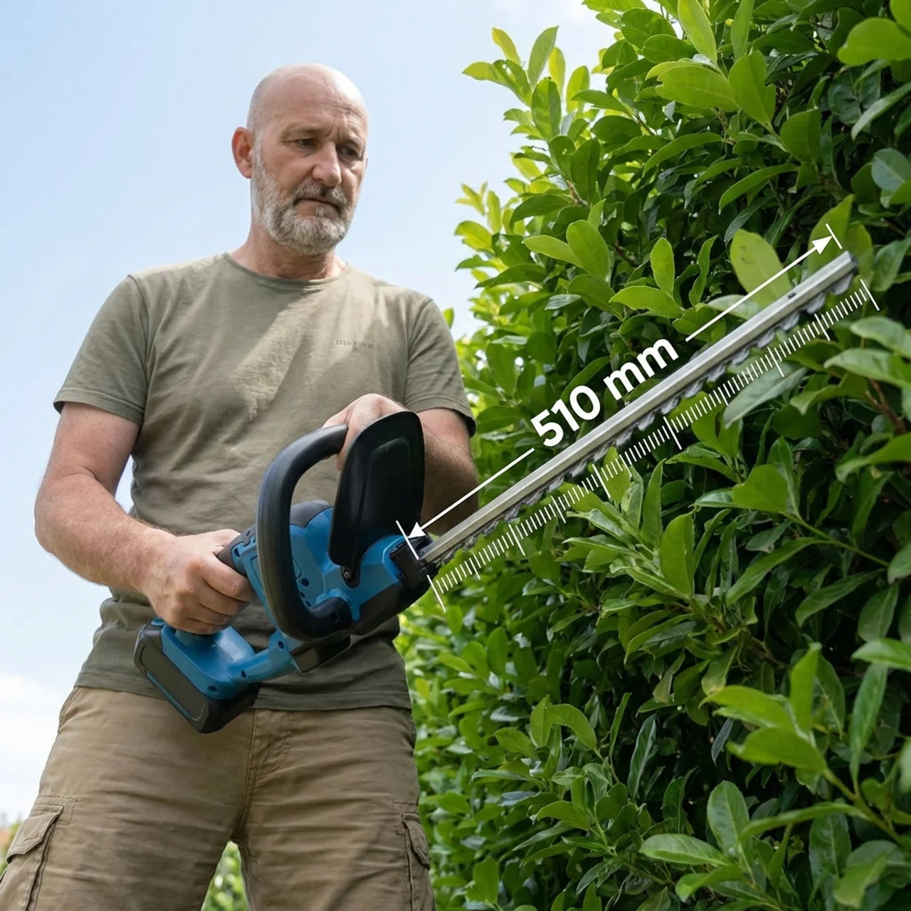 Taille-Haie Sans Fil avec 2 Batteries OFFERTES