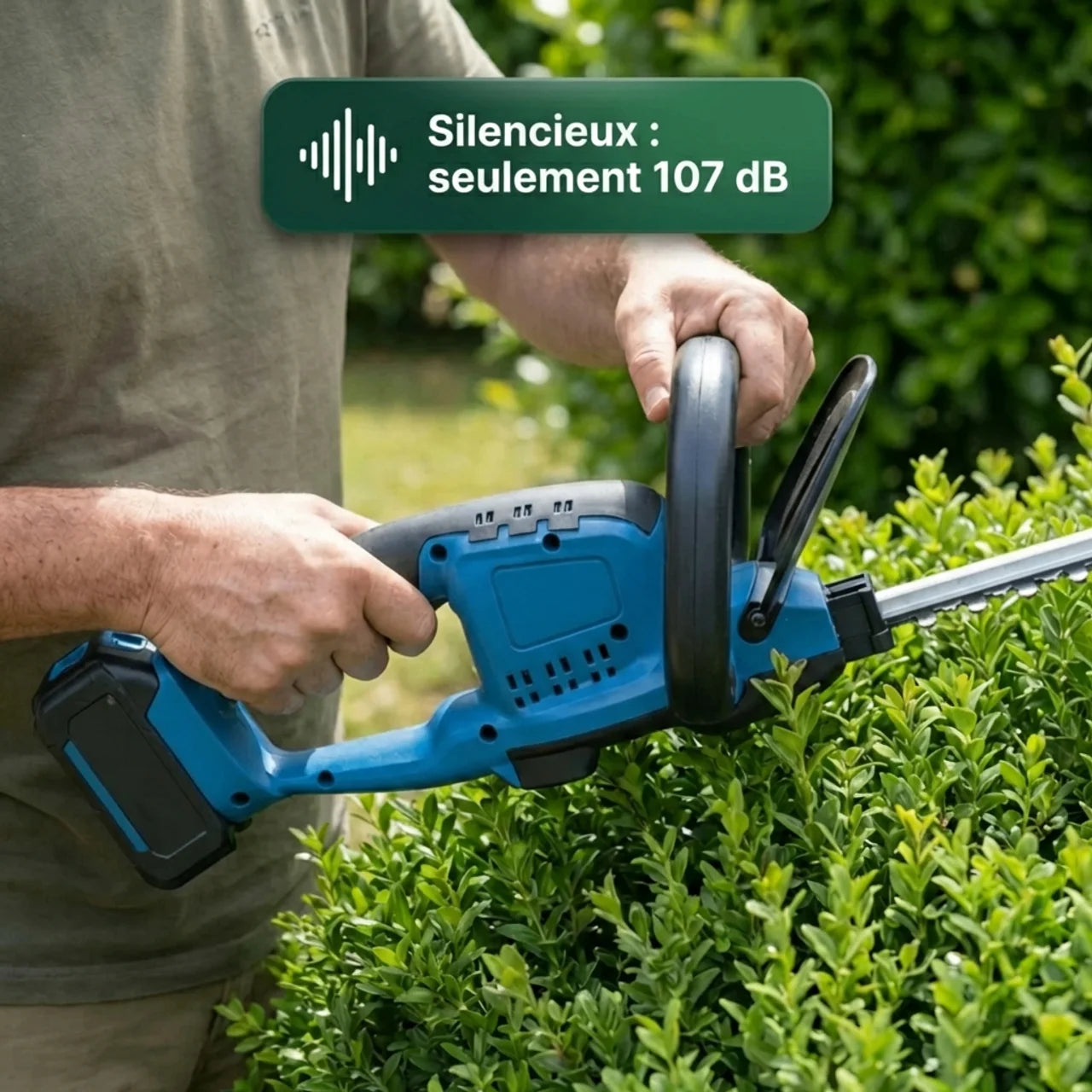 Taille-Haie Sans Fil avec 2 Batteries OFFERTES